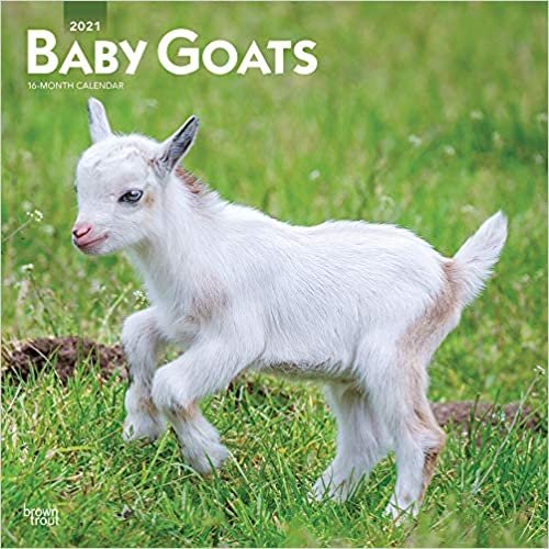Baby Goats - Ziegenbabys 2021 - 16-Monatskalender: Original BrownTrout-Kalender [Mehrsprachig] [Kalender] (Wall-Kalender) indir