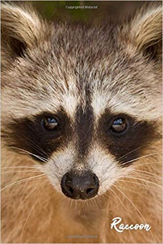 indir Raccoon: Notebook Lined Journal | Gift Idea for Boys Girls Kids s, Diary for Animal Lovers