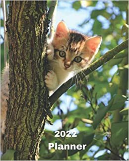 2022 Planner: Kitten in a Tree - 12 Month Weekly and Monthly Planner January 2022 to December 2022 -Monthly Calendar with U.S./UK/ ... 8 x 10 in.- Cats Breed Pets Kittens indir
