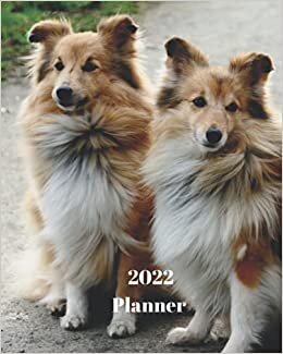 2022 Planner: Shetland Sheepdog Dog -12 Month Planner January 2022 to December 2022 Monthly Calendar with U.S./UK/ Canadian/Christian/Jewish/Muslim ... in Review/Notes 8 x 10 in.- Dog Breed Pets indir