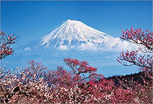 【Amazon.co.jp 限定】早春の梅林に包まれる富士 ポストカード3枚セット P3-096