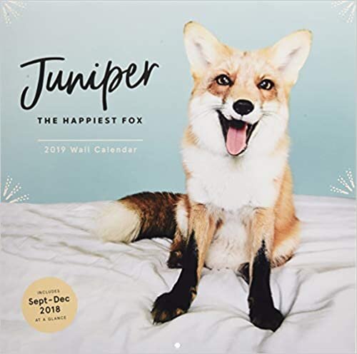 Juniper: The Happiest Fox 2019 Wall Calendar