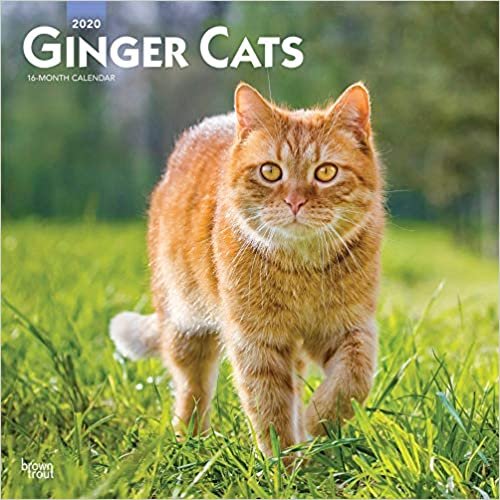 ダウンロード  Ginger Cats 2020 Calendar 本