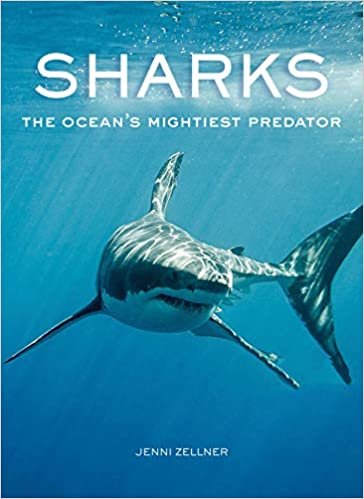 ダウンロード  Sharks: The Ocean's Mightiest Predator 本