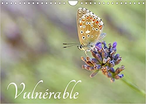 Vulnérable (Calendrier mural 2023 DIN A4 horizontal): Notre nature fragile (Calendrier mensuel, 14 Pages )