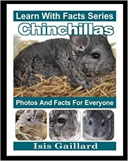 Chinchillas Photos and Facts for Everyone: Animals in Nature