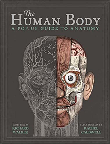 اقرأ The Human Body: A Pop-Up Guide to Anatomy الكتاب الاليكتروني 