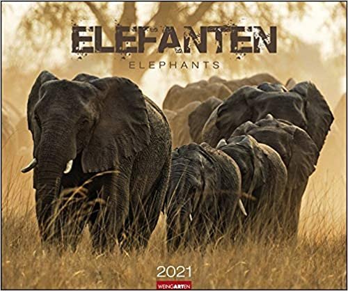 Elefanten - Kalender 2021 indir