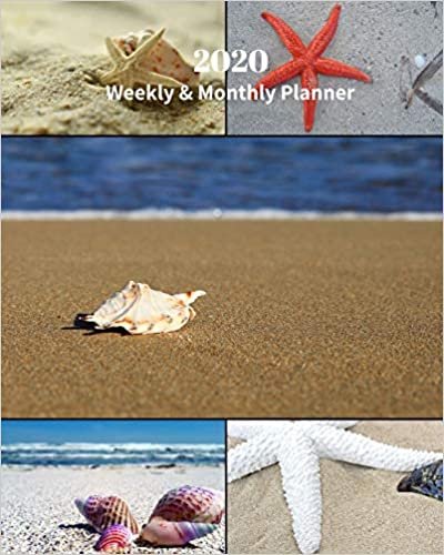 2020 Weekly and Monthly Planner: Shells Collage - Monthly Calendar with U.S./UK/ Canadian/Christian/Jewish/Muslim Holidays– Calendar in Review/Notes 8 x 10 in.- Tropical Beach Vacation Travel indir
