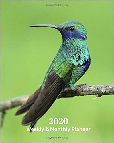 2020 Weekly and Monthly Planner: Hummingbird - Monthly Calendar with U.S./UK/ Canadian/Christian/Jewish/Muslim Holidays– Calendar in Review/Notes 8 x 10 in.-Wildlife Birds Nature indir