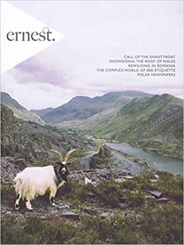 ダウンロード  Ernest Journal [ES] No. 8 2019 (単号) 本