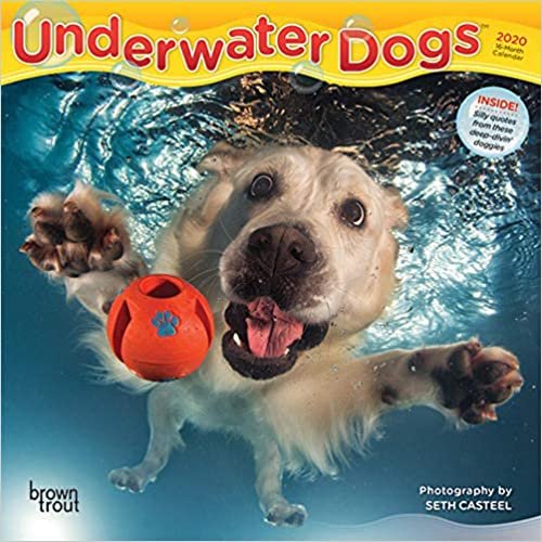 indir Underwater Dogs 2020 Mini Wall Calendar