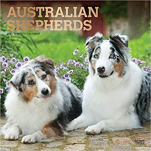 Australian Shepherds - Australische Schäferhunde 2021- 16-Monatskalender mit freier DogDays-App: Original BrownTrout-Kalender [Mehrsprachig] [Kalender] (Wall-Kalender) indir