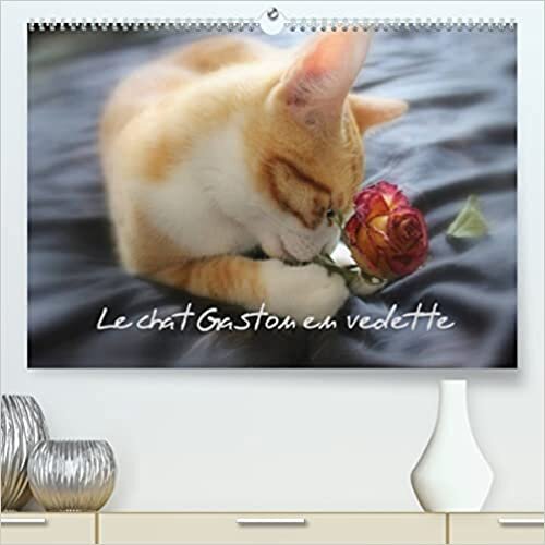 ダウンロード  Le chat Gaston en vedette (Premium, hochwertiger DIN A2 Wandkalender 2023, Kunstdruck in Hochglanz): Photos inédites de Gaston le chat (Calendrier mensuel, 14 Pages ) 本