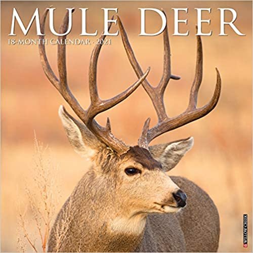 indir Mule Deer 2021 Calendar