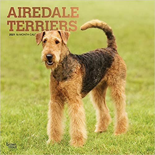 indir Airedale Terriers 2021 - 16-Monatskalender mit freier DogDays-App: Original BrownTrout-Kalender [Mehrsprachig] [Kalender] (Wall-Kalender)