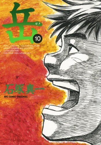 ダウンロード  岳（１０） (ビッグコミックス) 本