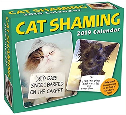 Cat Shaming 2019 Day-to-Day Calendar ダウンロード