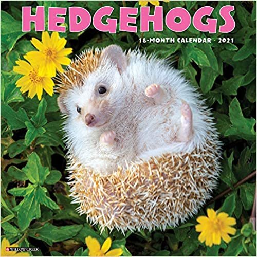 Hedgehogs 2021 Calendar