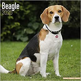 ダウンロード  Beagle Calendar 2020 本