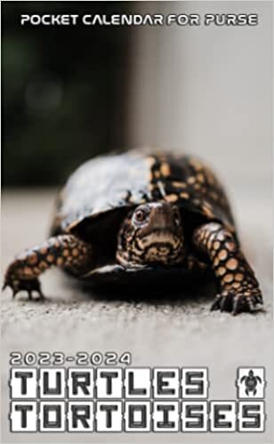 ダウンロード  2023-2024 Turtles & Tortoises Pocket Calendar: 2 Year Monthly Planner With Turtles & Tortoises 24 Months Calendar For Purse Vitally Need | Daily Notebook, Diary With Password Logs & Note Sections | Small Size 4x6.5 本