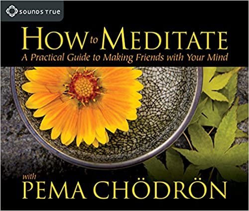 ダウンロード  How to Meditate with Pema Chodron: A Practical Guide to Making Friends with Your Mind 本