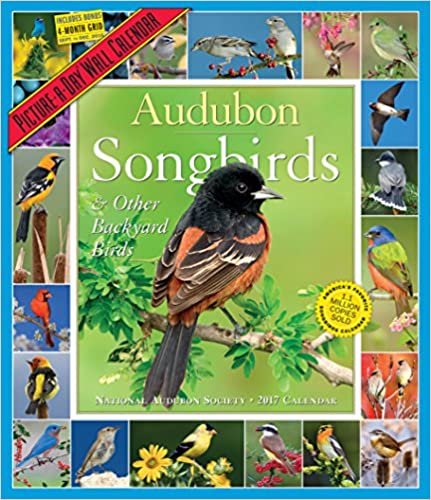 Audubon Songbirds & Other Backyard Birds 2017 Calendar