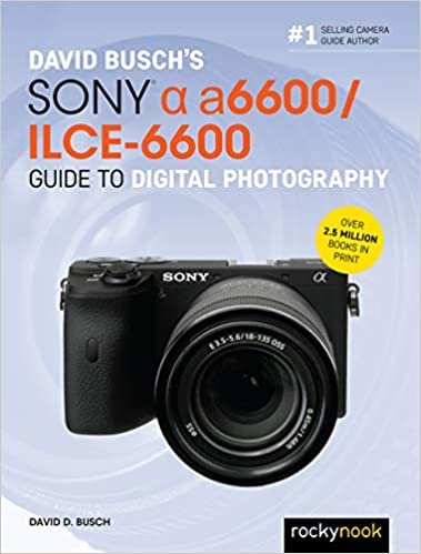 indir David Busch&#39;s Sony Alpha A6600/Ilce-6600 Guide to Digital Photography (David Busch Camera Guide)