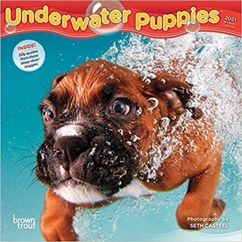 ダウンロード  Underwater Puppies 2021 Calendar 本