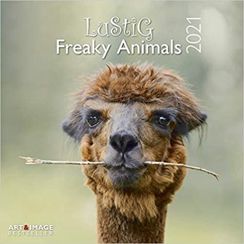 Lustig - Freaky Animals 2021: Art & Image Broschürenkalender indir