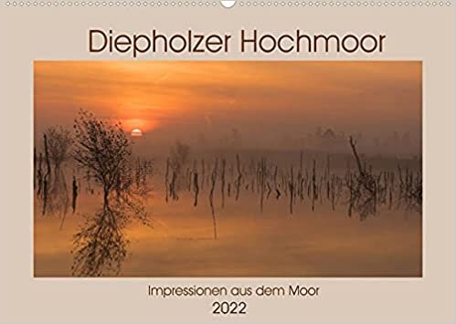 Diepholzer Hochmoor (Wandkalender 2022 DIN A2 quer): Impressionen aus der Diepholzer Moorniederung (Monatskalender, 14 Seiten )