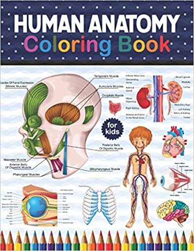 Human Anatomy Coloring Book For Kids: Human Body Anatomy Coloring Book For Medical, High School & College Level Students. An Easier And Better Way To Learn Anatomy. Muscular System Coloring Book Anatomy.Kids Anatomy Coloring Book.Children's Science Books. ダウンロード