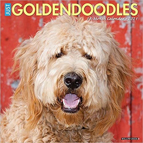 indir Just Goldendoodles 2021 Calendar