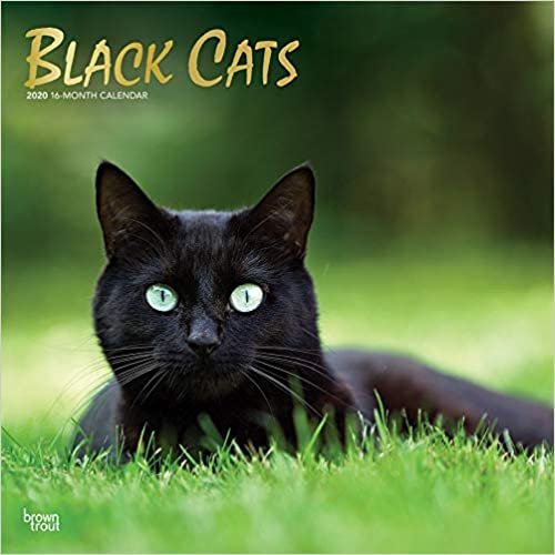 ダウンロード  Black Cats 2020 Calendar: Foil Stamped Cover 本