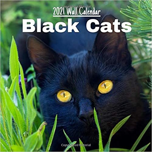 ダウンロード  Black Cats 2021 Wall Calendar: Black Cats Calendar 2021, 18 Months, 8.5 x 8.5 Paperback – Wall Calendar, january 7 2021. 本