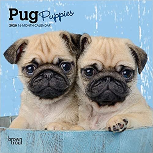 ダウンロード  Pug Puppies 2020 Calendar 本
