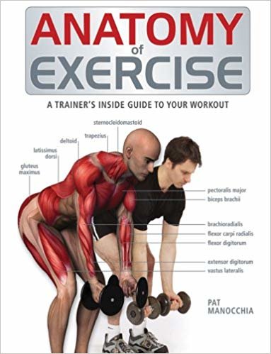 دليل Anatomy التمارين: Trainer من الداخل إلى الخاصة بك أثناء ممارسة التمارين