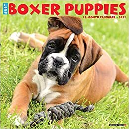 Just Boxer Puppies 2021 Wall Calendar (Dog Breed Calendar)