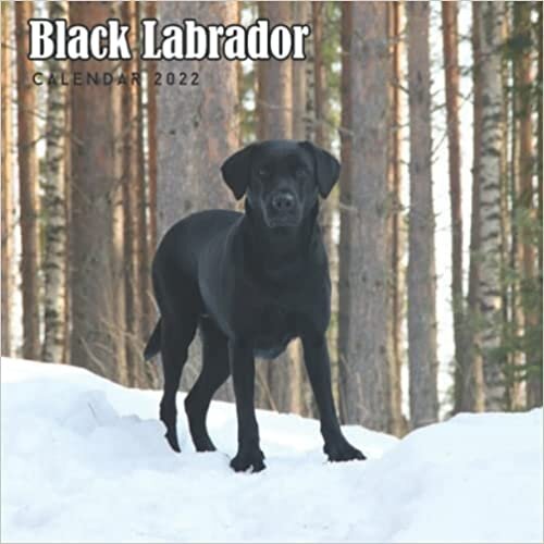Multi calendar Black Labrador Calendar 2022: Home & Office Calendar For Labrador Retriever Lovers, Dog Breed Calendar 2022 تكوين تحميل مجانا Multi calendar تكوين