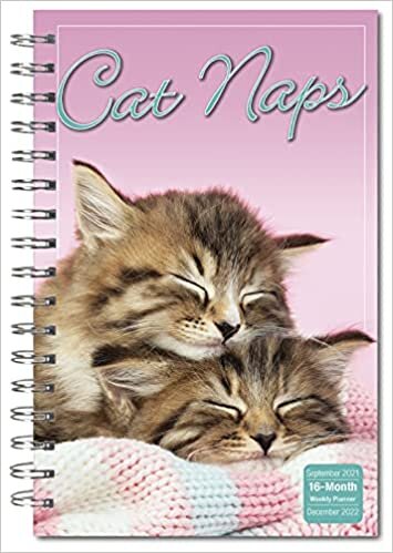 ダウンロード  Cat Naps September 2021- December 2022 16-Month Weekly Planner 本