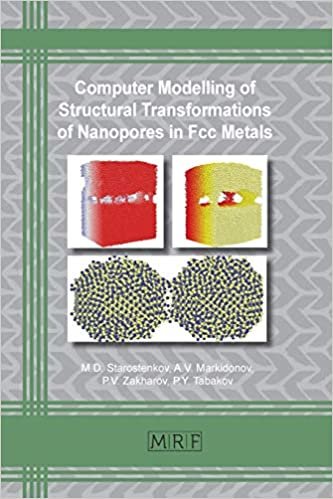 Computer Modelling of Structural Transformations of Nanopores in Fcc Metals (Materials Research Foundations)