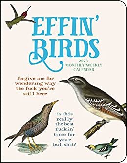 ダウンロード  Effin' Birds 12-Month 2023 Monthly/Weekly Planner Calendar 本