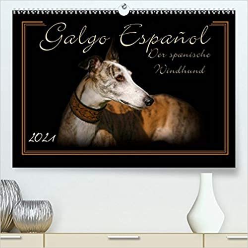 Galgo Español 2021- Der spanische Windhund (Premium, hochwertiger DIN A2 Wandkalender 2021, Kunstdruck in Hochglanz): Liebevoll ausgesuchte Portraits der Windhundrasse (Monatskalender, 14 Seiten )