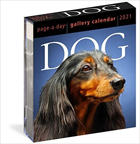 Dog Gallery 2021 Calendar