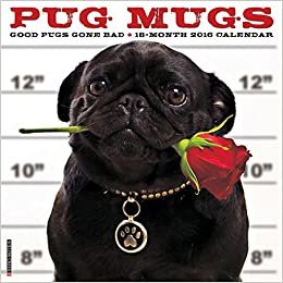 ダウンロード  Pug Mugs 2016 Calendar: Good Pugs Gone Bad 本