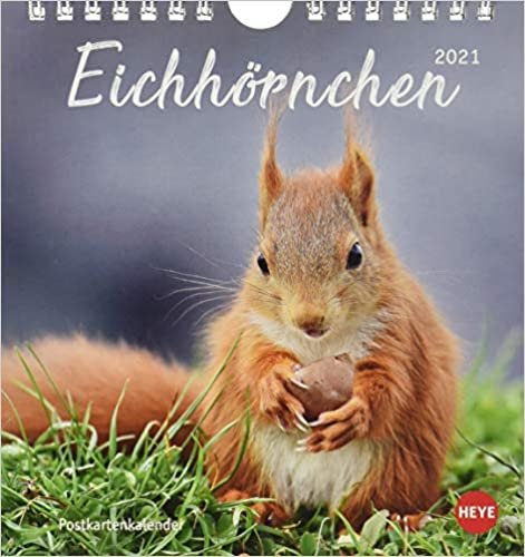 Eichhoernchen 2021 Postkartenkalender ダウンロード