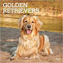 Golden Retrievers 2021 Calendar: Foil Stamped Cover ダウンロード