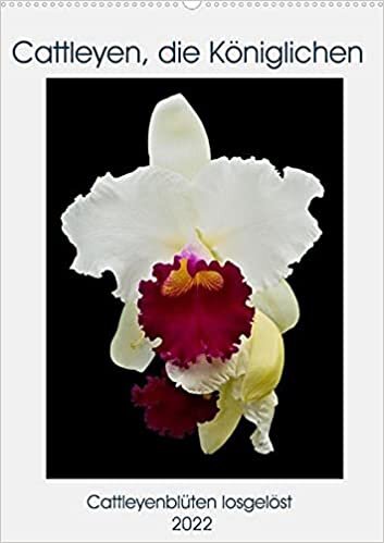Cattleyen, die Koeniglichen (Wandkalender 2022 DIN A2 hoch): Tauchen Sie ein in die faszinierende Welt der Cattleya-Orchideen. (Monatskalender, 14 Seiten )