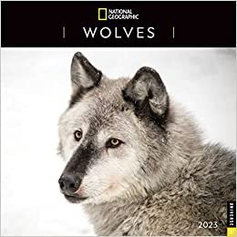 تحميل National Geographic: Wolves 2023 Wall Calendar