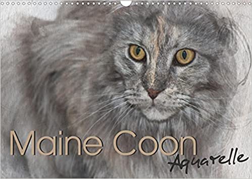 Maine Coon Aquarelle (Wandkalender 2022 DIN A3 quer): Kunstvolle Portraits der begehrten Katzenrasse Maine Coon (Monatskalender, 14 Seiten )